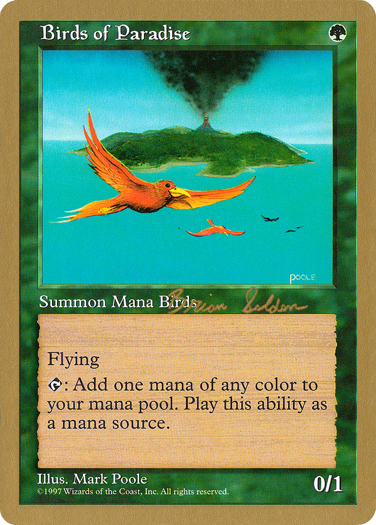 Image of Birds of Paradise - 1998 Brian Selden (5ED) (WCD-) - World Championship Decks 1998