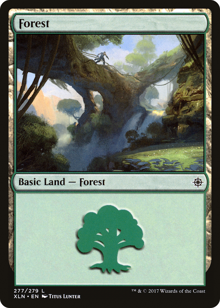Image of Forest (277) (XLN-277) - Ixalan Foil