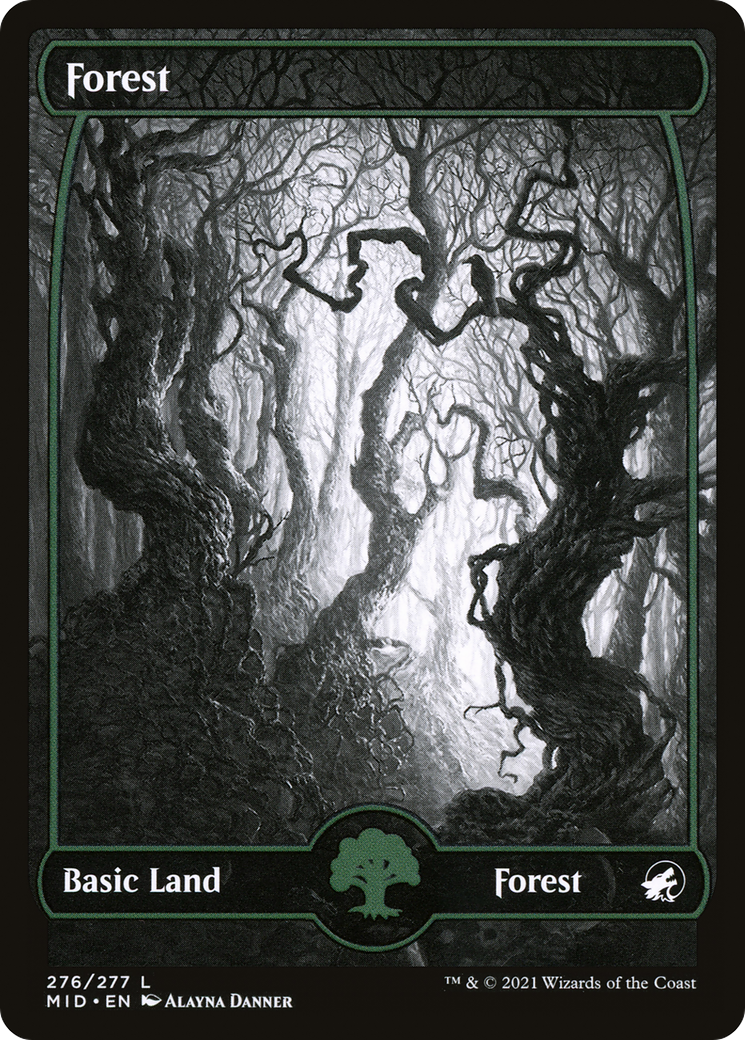 Image of Forest (276) (MID-276) - Innistrad: Midnight Hunt: (Full Art, Showcase) Foil