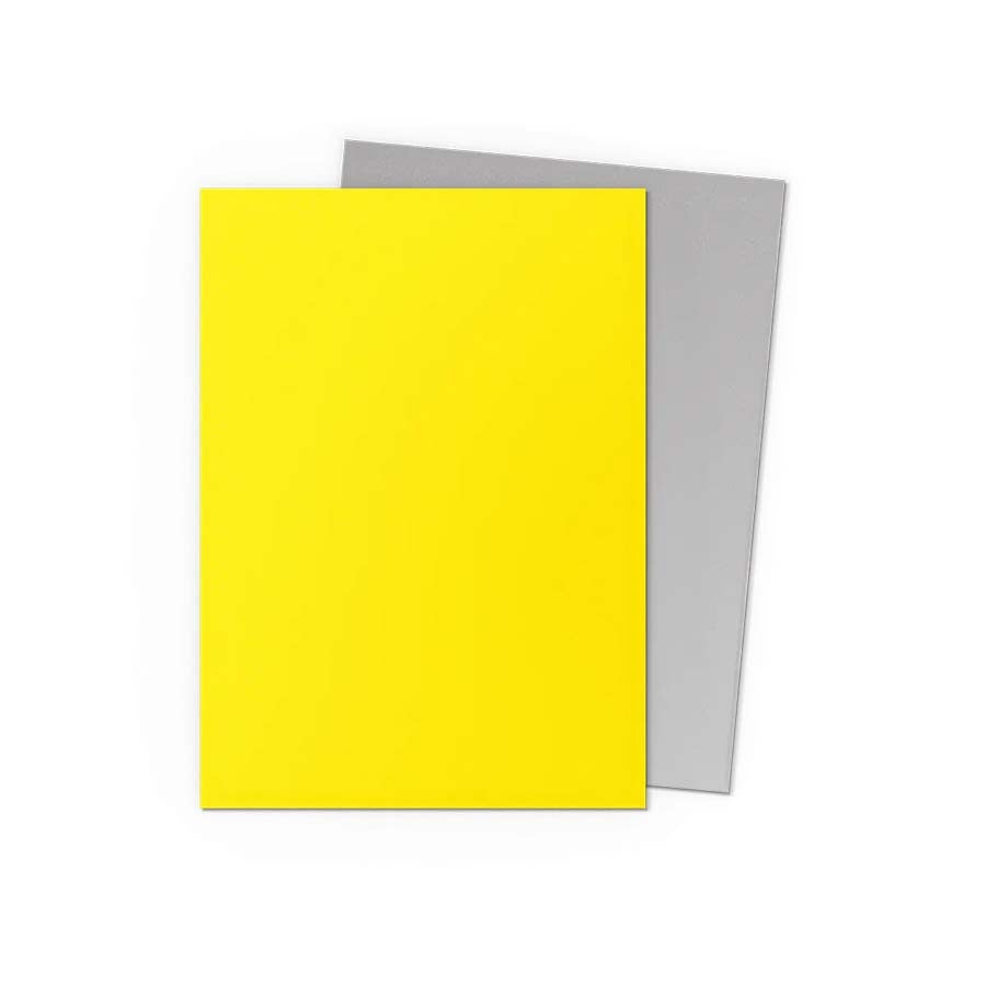 Image of DRAGON SHIELD SLEEVES: MATTE DUAL: YELLOW AND SILVER (100CT)