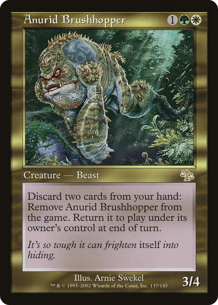 Image of Anurid Brushhopper (JUD-137) - Judgment