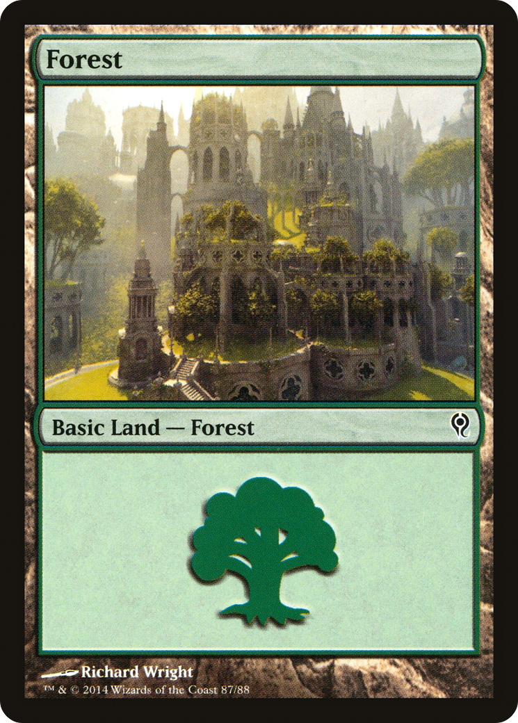 Image of Forest (87) (DDM-087) - Duel Decks: Jace vs. Vraska