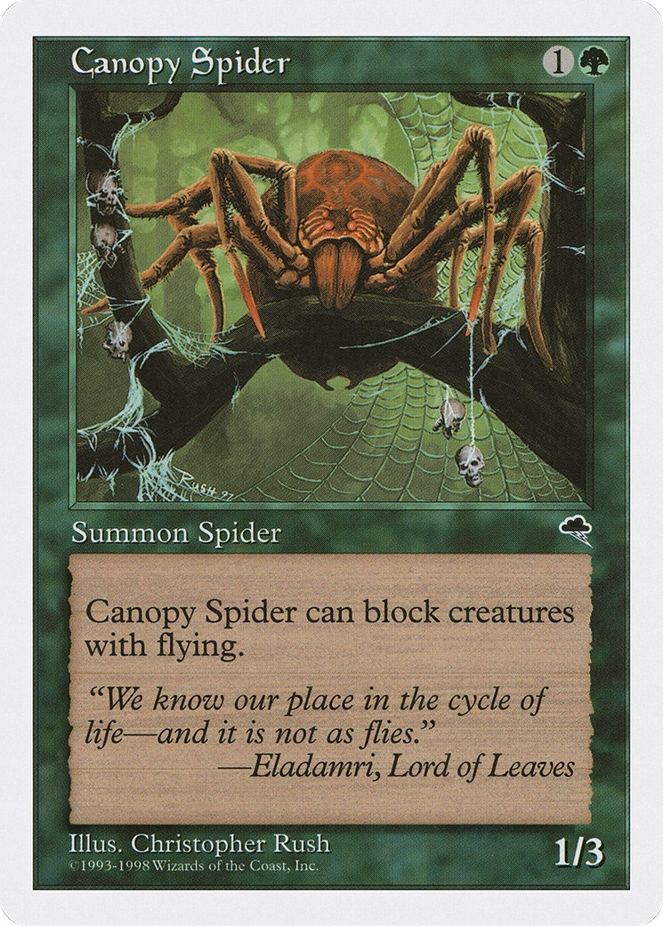 Image of Canopy Spider (ATH-064) - Anthologies