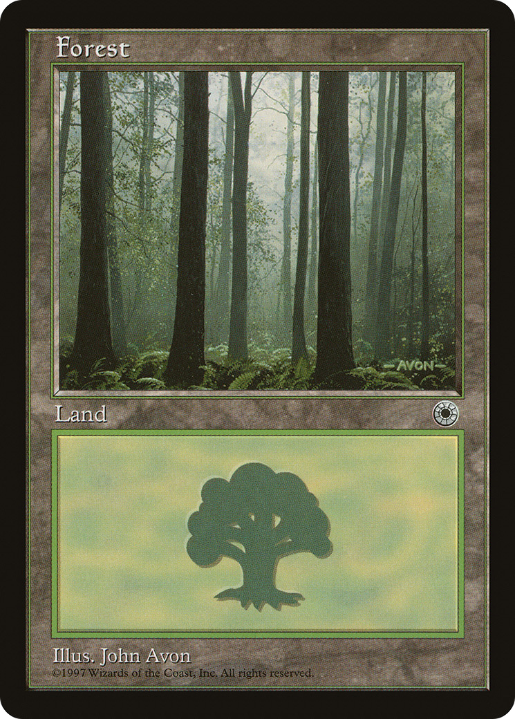 Image of Forest (Ferns on Ground) (POR-) - Portal