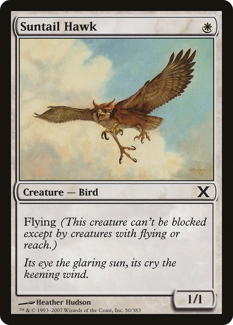 Image of Suntail Hawk (10E-050) - Tenth Edition