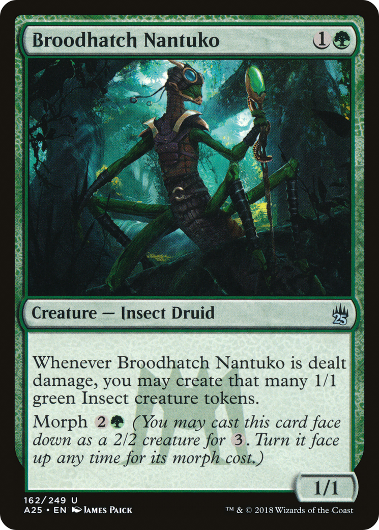 Image of Broodhatch Nantuko (A25-162) - Masters 25