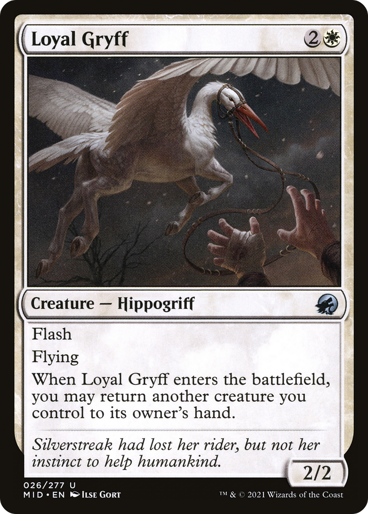 Image of Loyal Gryff (MID-026) - Innistrad: Midnight Hunt Foil