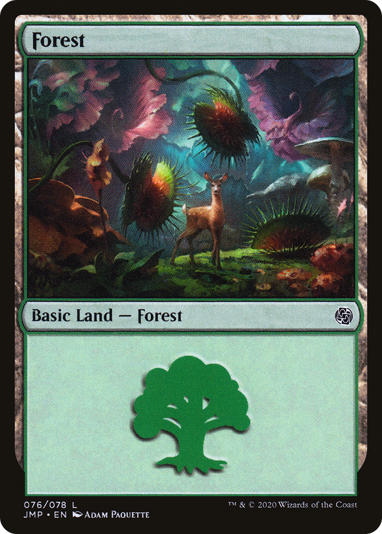 Image of Forest (JMP-076) - Jumpstart