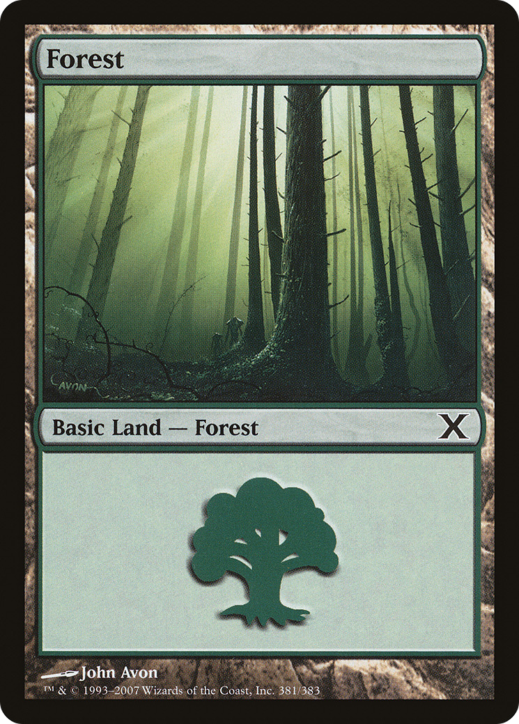 Image of Forest (381) (10E-381) - Tenth Edition