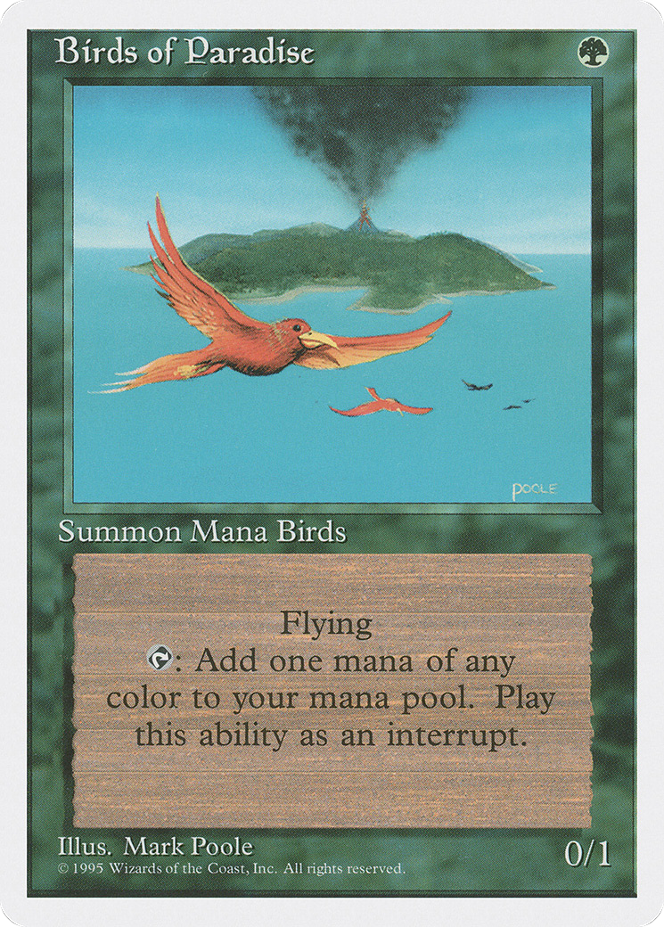 Image of Birds of Paradise (4ED-234) - Fourth Edition