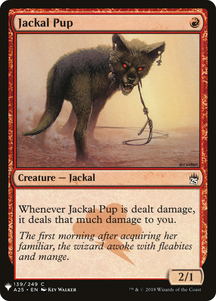 Image of Jackal Pup (LIST-A25-139) - The List
