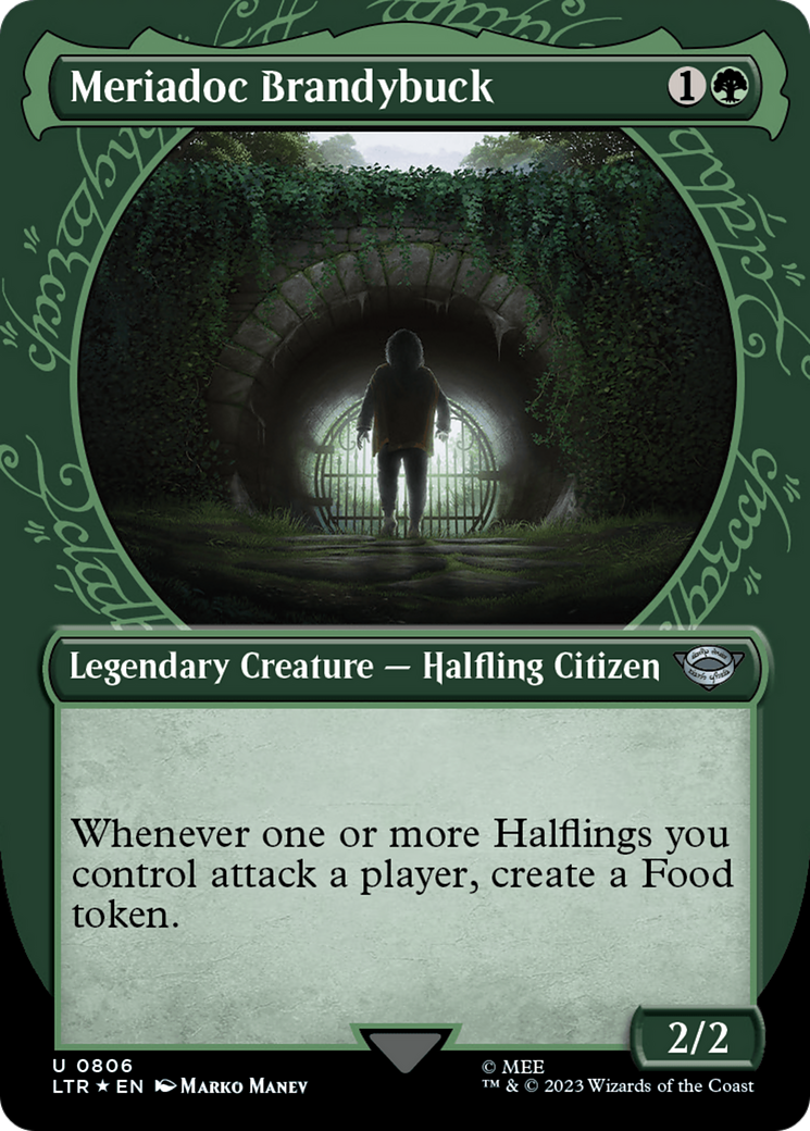 Image of Meriadoc Brandybuck (Showcase) (Surge Foil) (LTR-806) - The Lord of the Rings: Tales of Middle-earth: (Showcase) (Borderless) Foil
