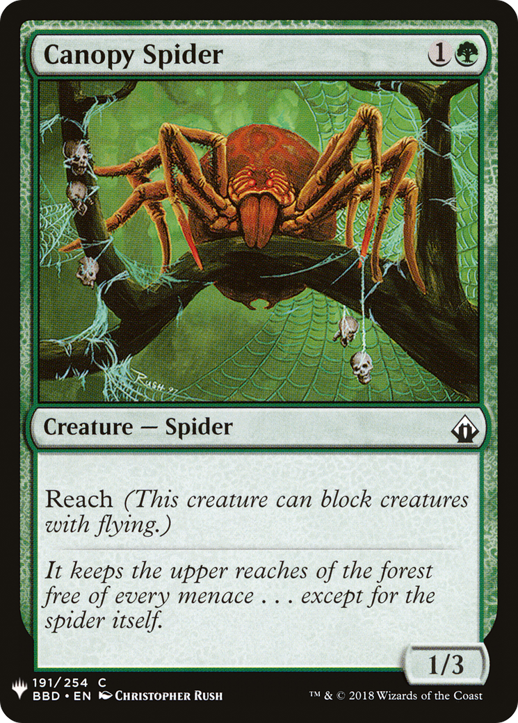 Image of Canopy Spider (LIST-BBD-191) - The List