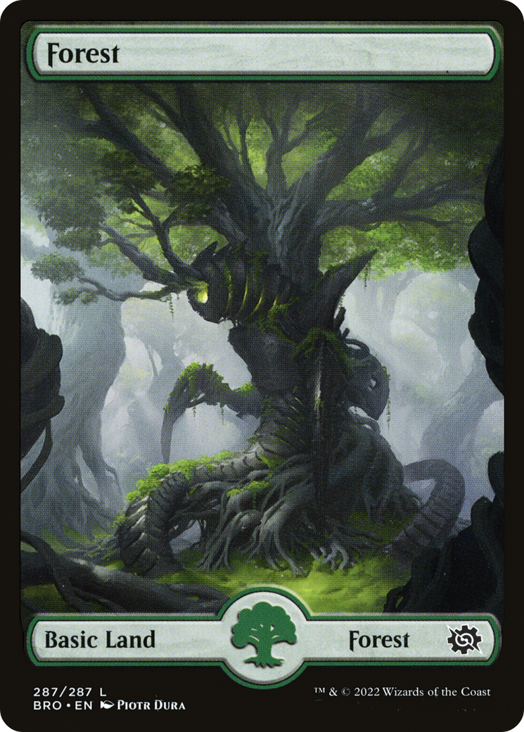Image of Forest (287) - Full Art (BRO-287) - The Brothers' War