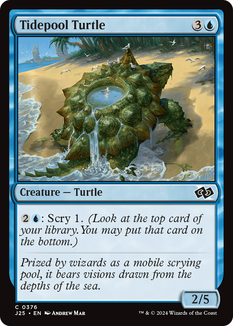 Image of Tidepool Turtle (J25-376) - Foundations Jumpstart