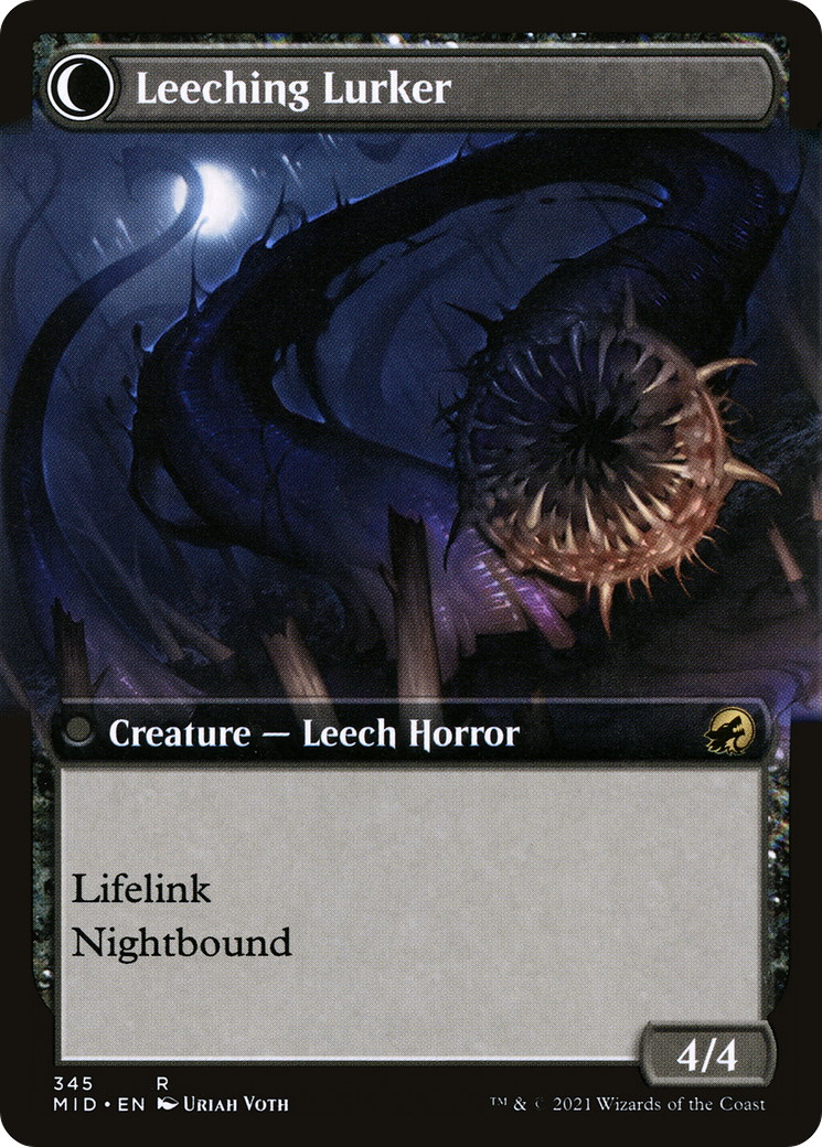 Image of Curse of Leeches (Extended Art) (MID-345) - Innistrad: Midnight Hunt: (Extended Art, Double Faced Transform) Foil