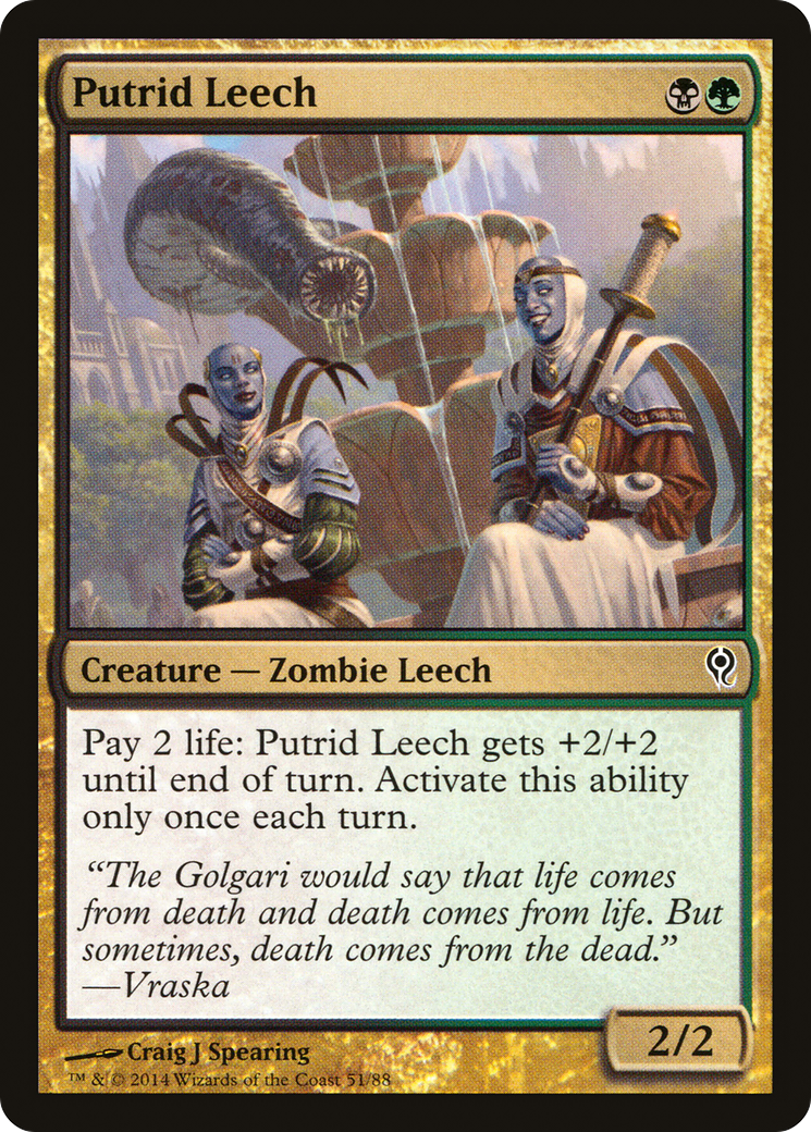 Image of Putrid Leech (DDM-051) - Duel Decks: Jace vs. Vraska