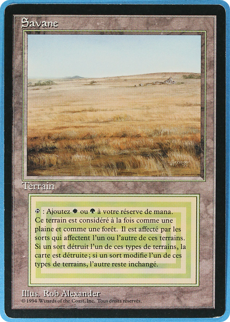 Image of Savannah (FBB-) - Foreign Black Border