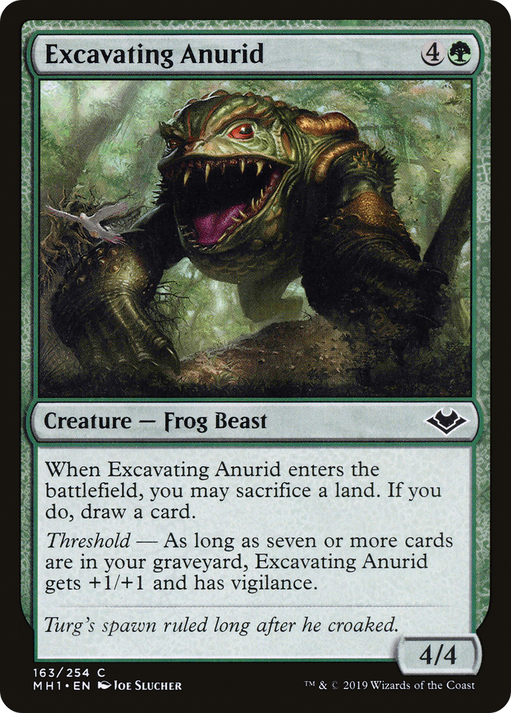 Image of Excavating Anurid (MH1-163) - Modern Horizons
