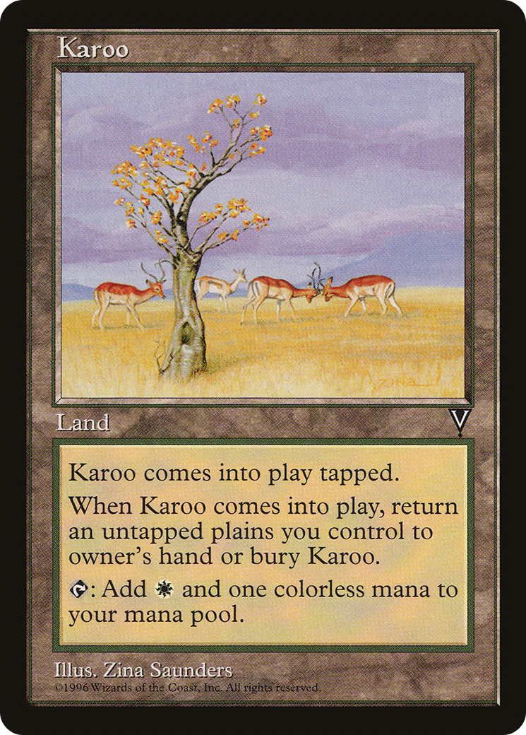 Image of Karoo (VIS-) - Visions