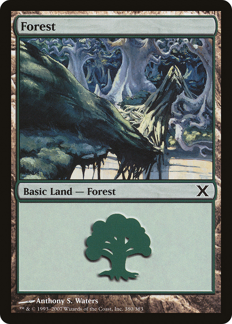 Image of Forest (380) (10E-380) - Tenth Edition Foil