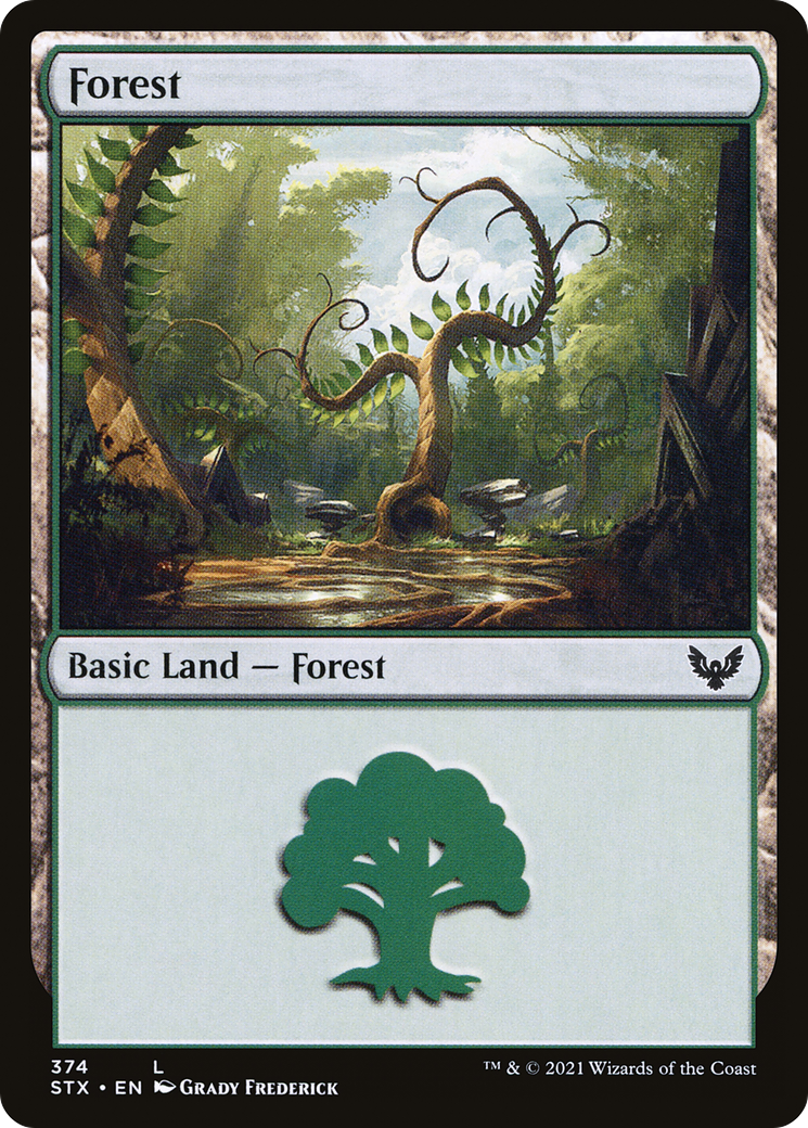 Image of Forest (374) (STX-374) - Strixhaven: School of Mages