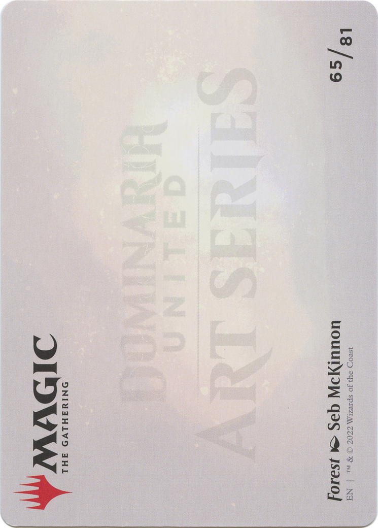 Image of Forest // Forest (ADMU-065) - Dominaria United Art Series (Borderless)