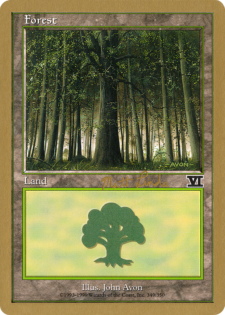 Image of Forest (349) - 1999 Matt Linde (6ED) (WCD-) - World Championship Decks 1999