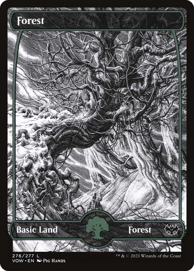Image of Forest (276) (VOW-276) - Innistrad: Crimson Vow: (Showcase)