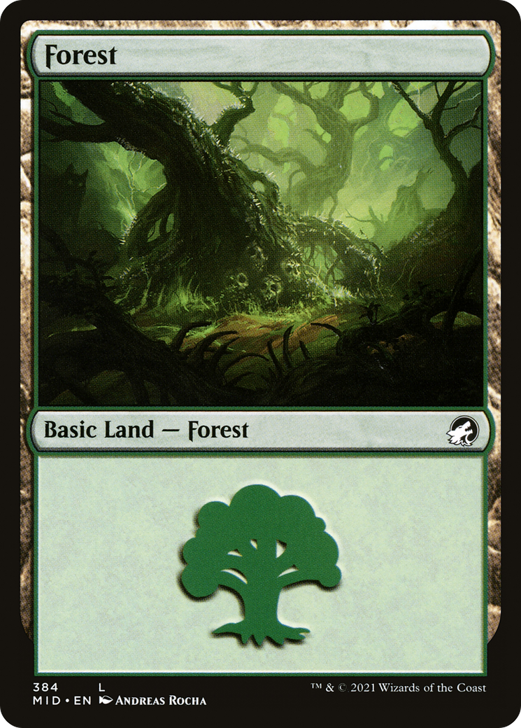 Image of Forest (384) (MID-384) - Innistrad: Midnight Hunt Foil