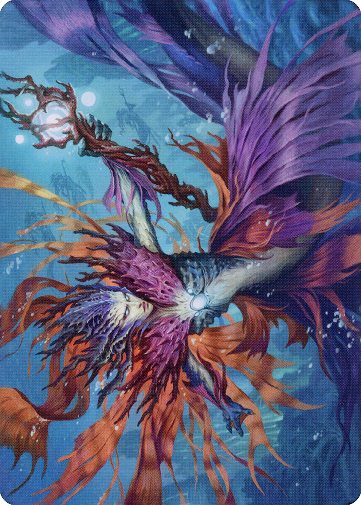 Image of Vodalian Hexcatcher // Vodalian Hexcatcher (ADMU-020) - Dominaria United Art Series (Borderless)