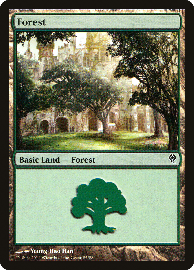 Image of Forest (85) (DDM-085) - Duel Decks: Jace vs. Vraska