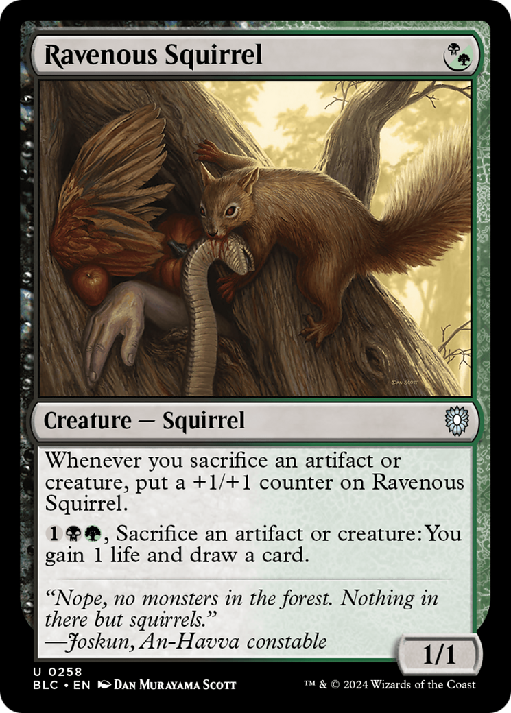 Image of Ravenous Squirrel (BLC-258) - Bloomburrow Commander