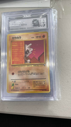 Trove of Collectibles 