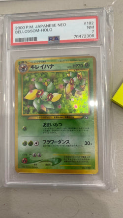 Trove of Collectibles 