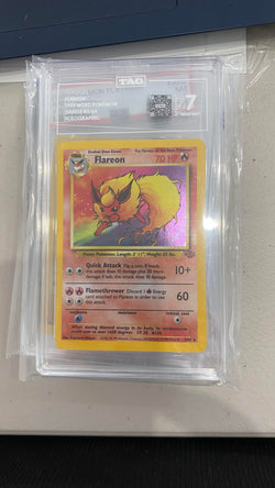 Trove of Collectibles 