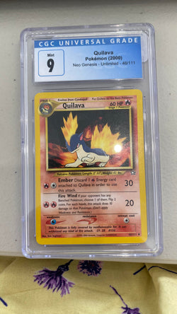 Trove of Collectibles 
