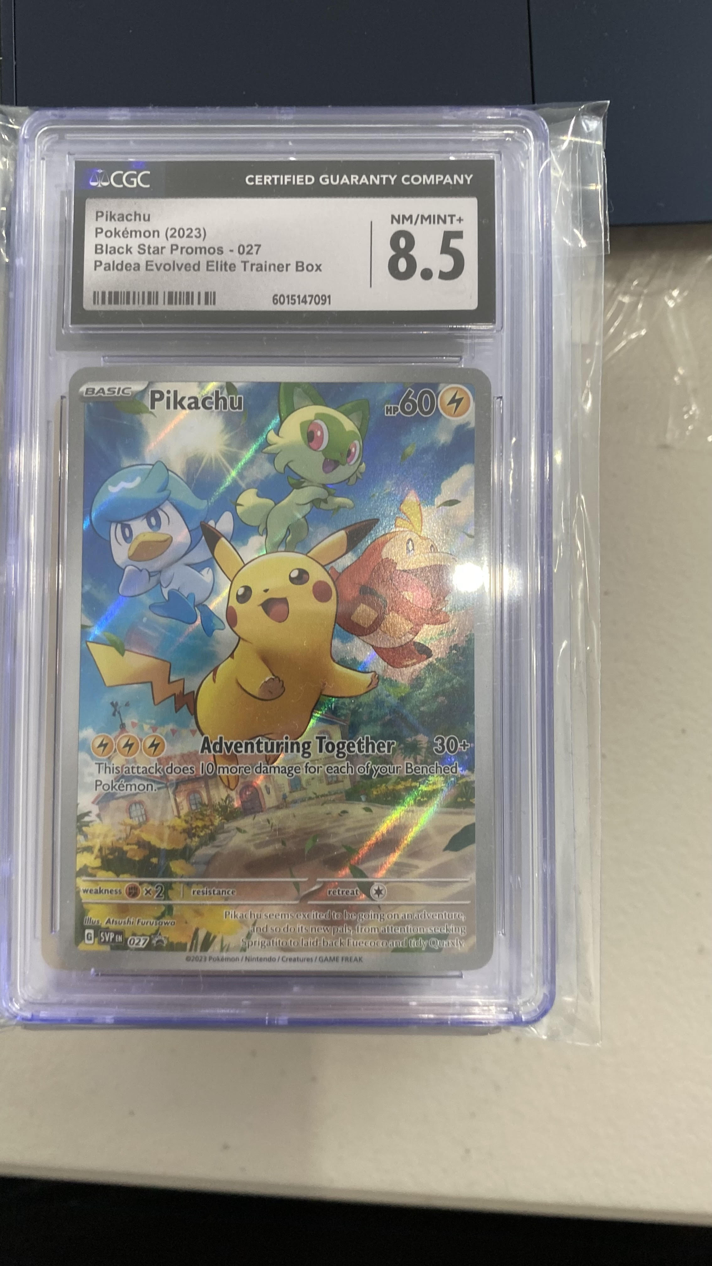 Trove of Collectibles 