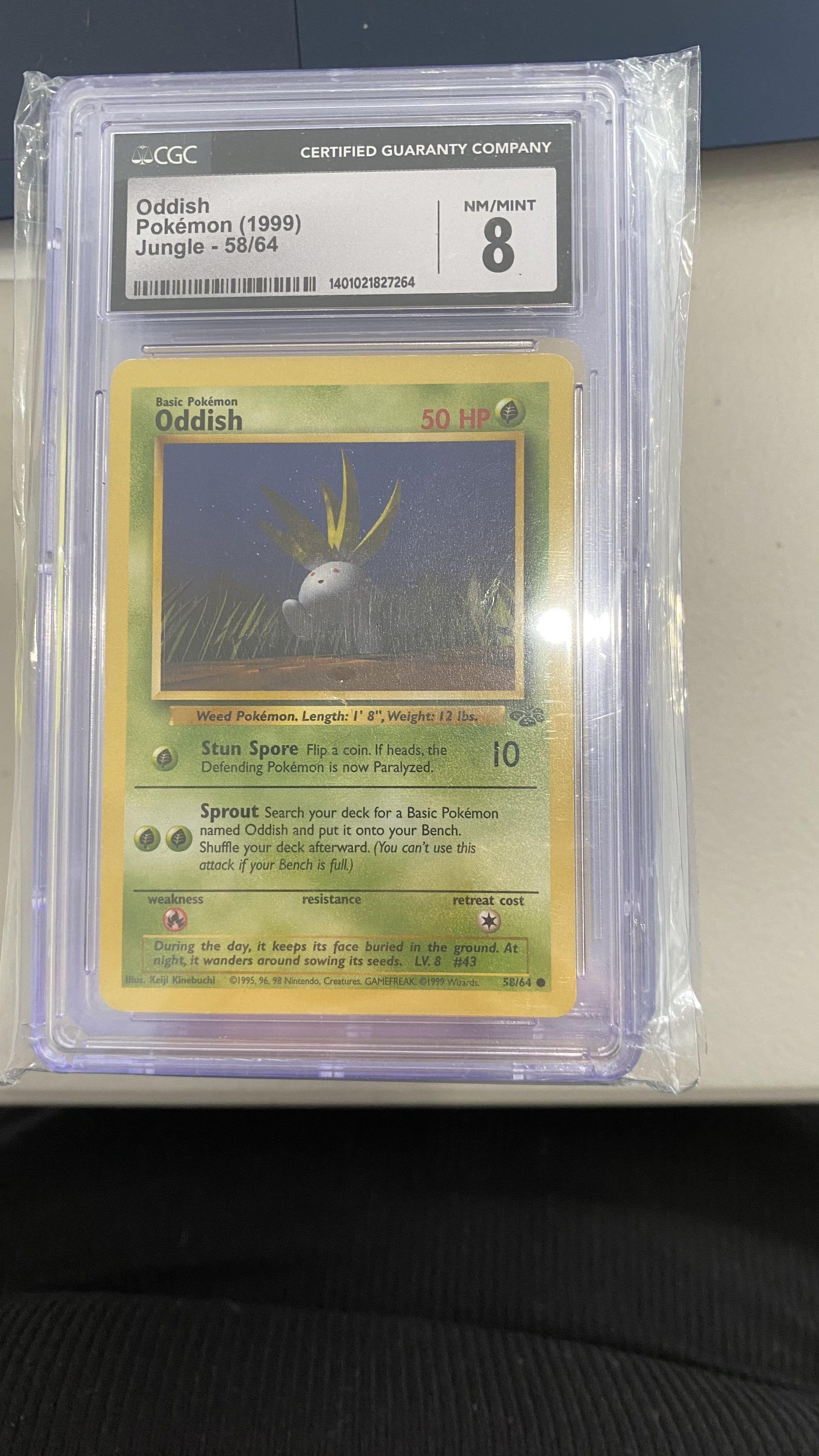 Trove of Collectibles 