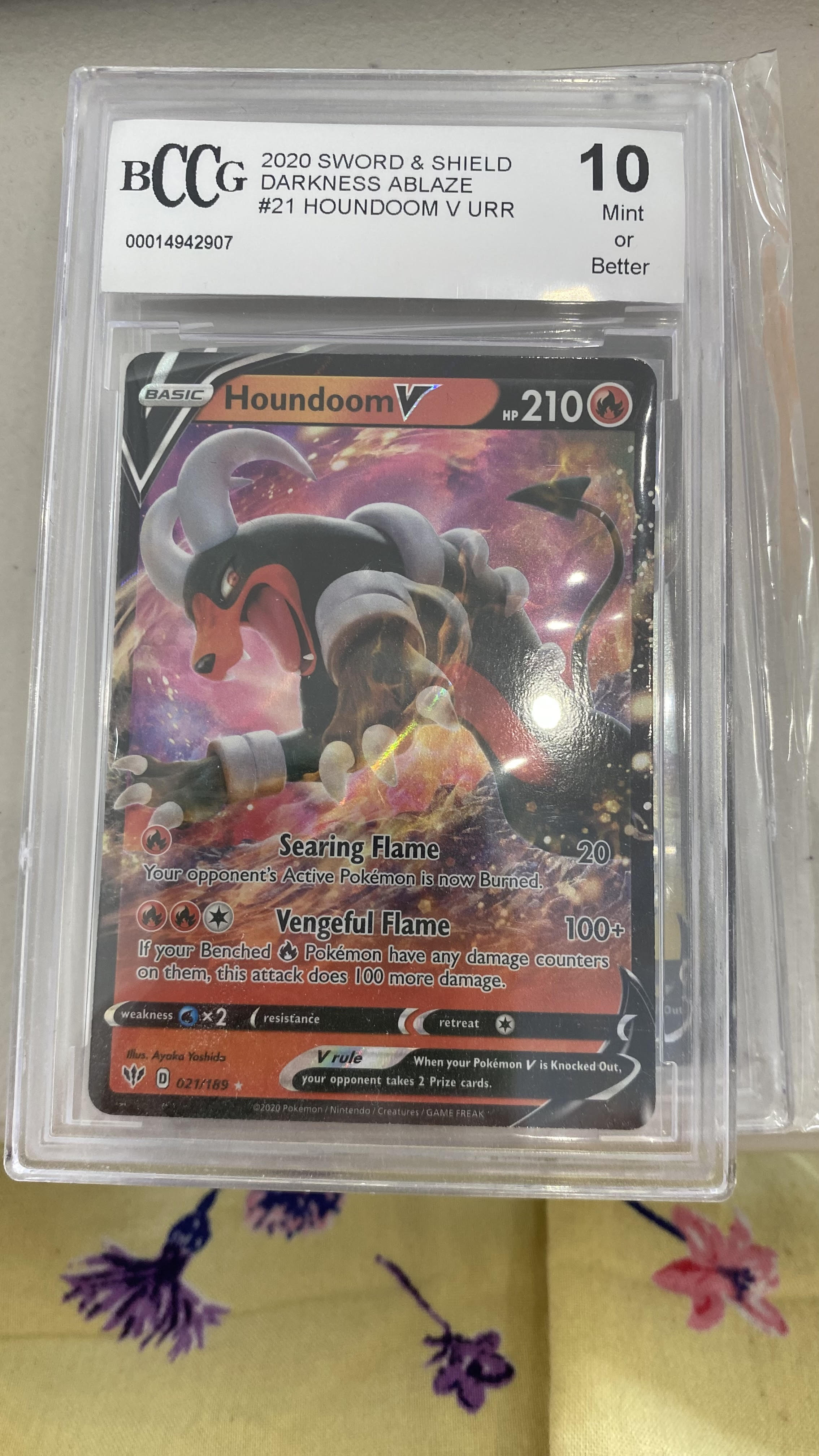 Trove of Collectibles 