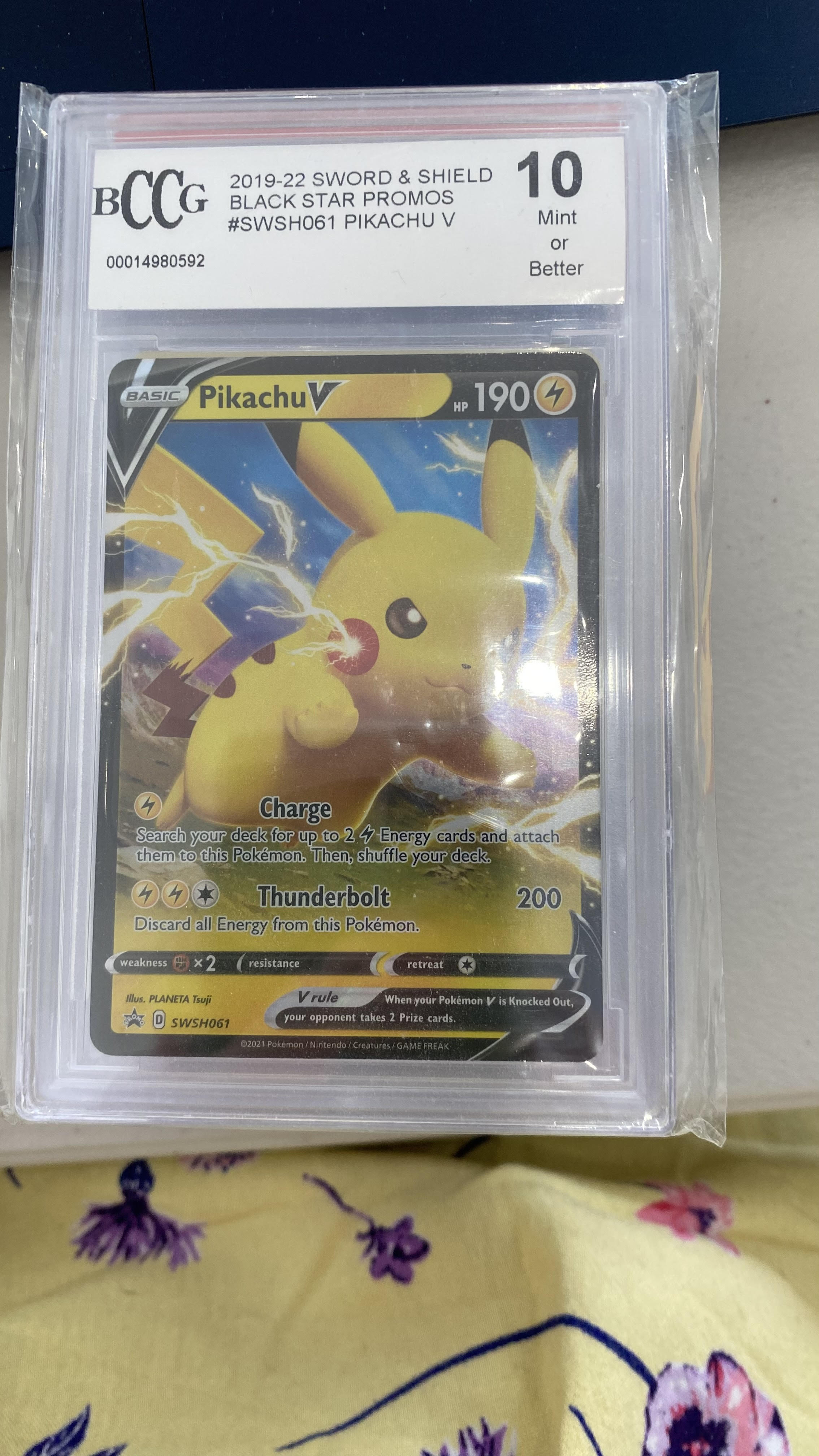 Trove of Collectibles 