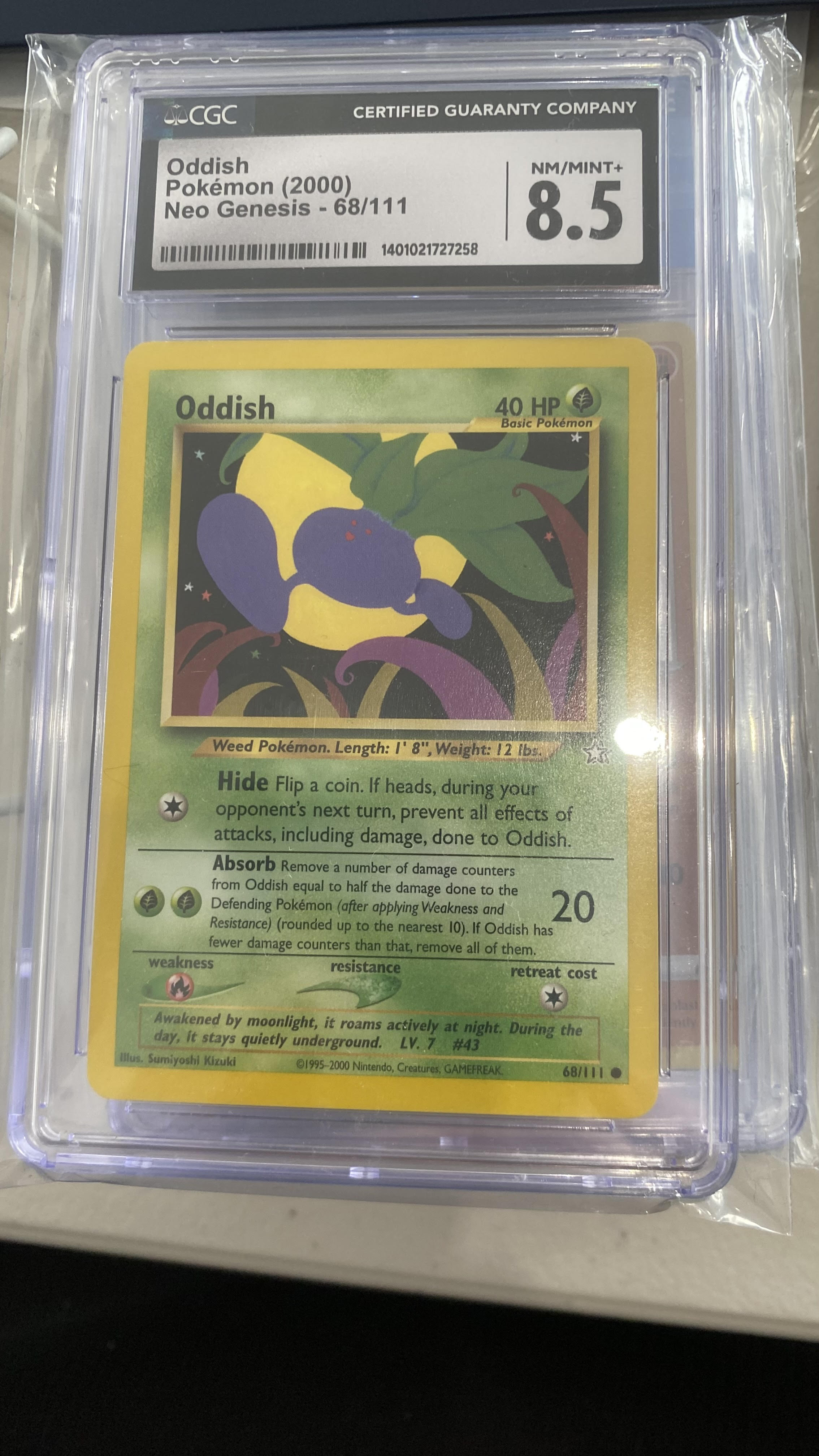 Trove of Collectibles 